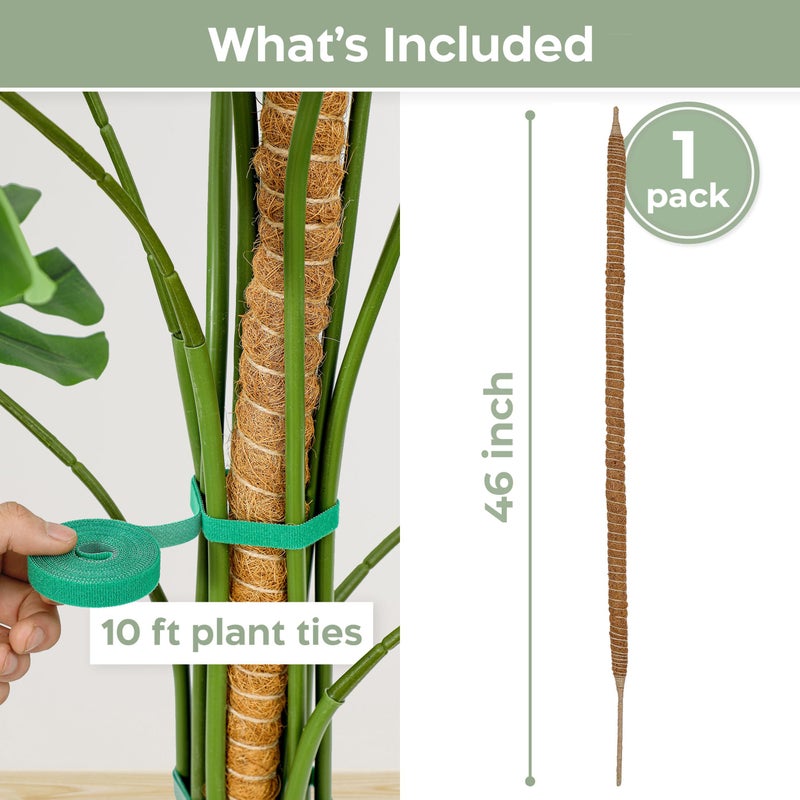 K-Brands Moss Pole - 46'' Monstera Plant Support - Plant Trellis Moss Pole for Plants Monstera - Moss Poles for Climbing Plants - Plant Sticks Support Plant Stakes for Indoor Plants Potted - Image 2